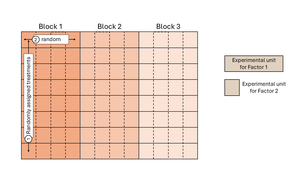 Schematic representation of a split-plot design.